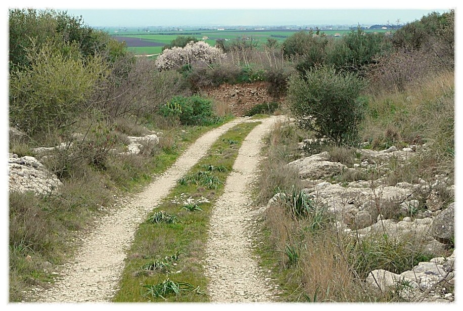 Le Steppe del Gargano